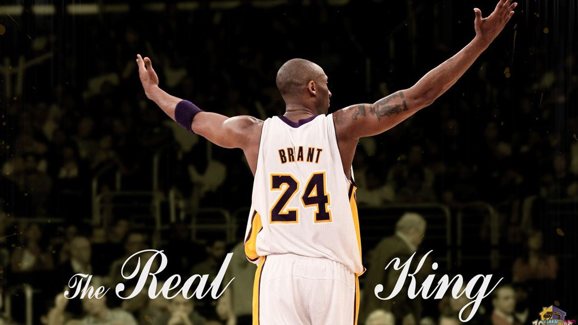 《全球电竞市场份额：亚洲领跑，欧洲紧随其后》，全球电竞产业交易额